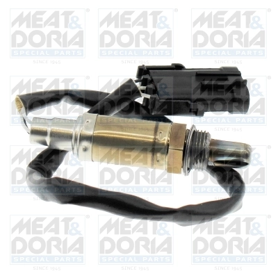 Oxygen Sensor